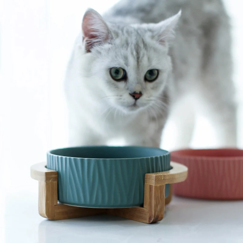 Elevated and non-slip cat food bowl, ergonomic design, easy to clean, promotes healthy posture and digestion, ideal for — photo 1