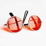 Fashion Personality Small Pet Accessory Mirror. Reflect your pet's unique style with this compact and stylish mirror, pe — photo 5