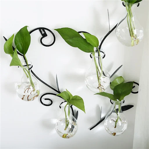Title 3, Transparent glass vase, perfect for displaying ...