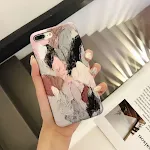 Apple 6P 6sp 5.5