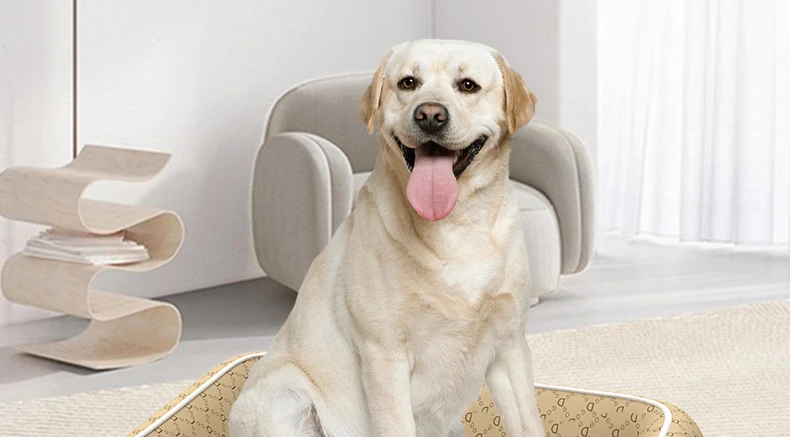 Title 16, Waterproof, Bite and Scratch Resistant Kennel, ...