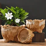 miniatures image - 12