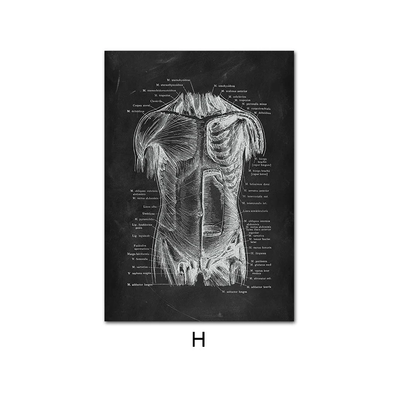product image - 15