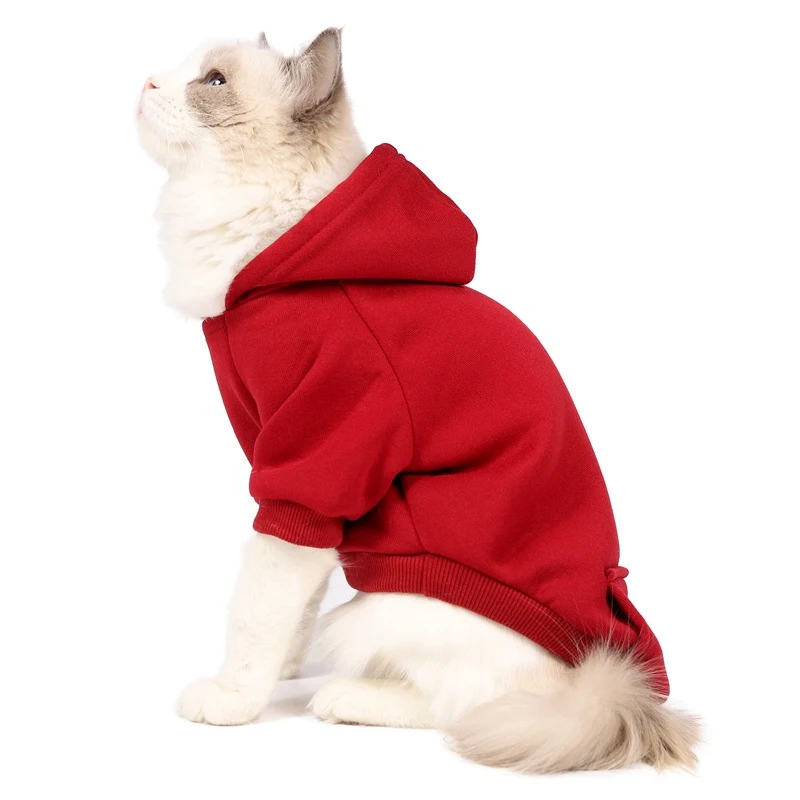 Small and medium sized dogs wearing caps and fleece clothes. Keep your furry friend warm, comfortable, and stylish with — photo 3