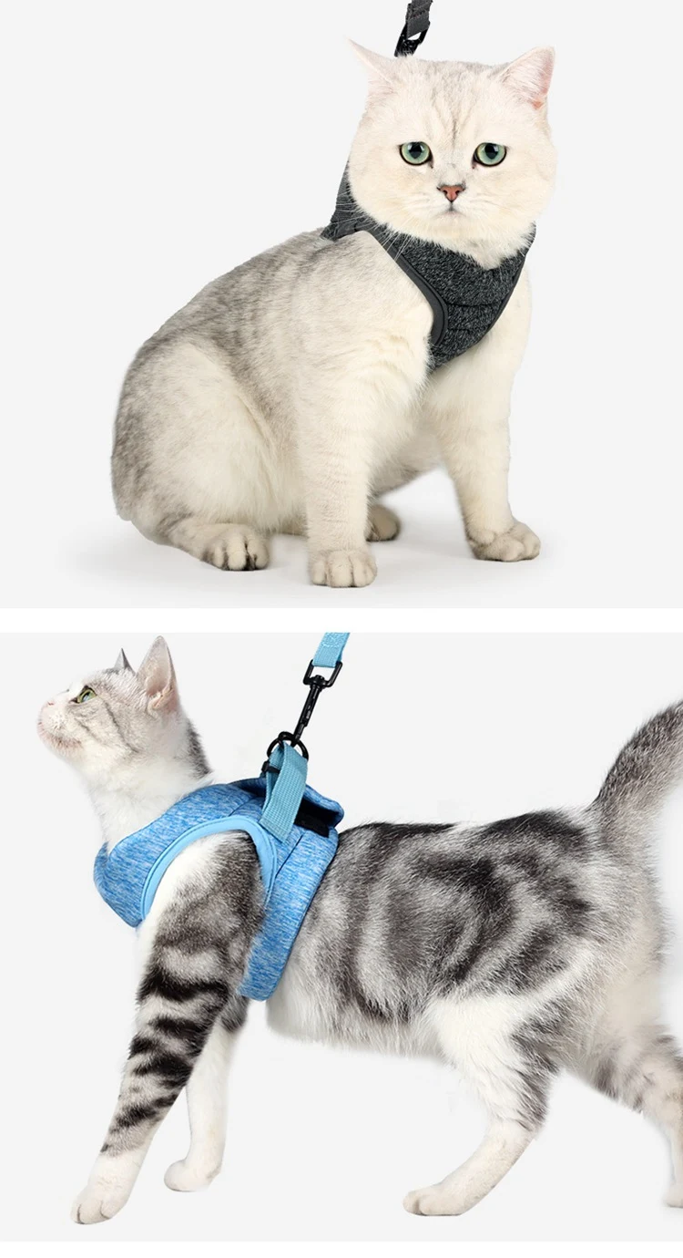 Title 4, Vest-style Cat Harness Chest Strap, Explosion-p...