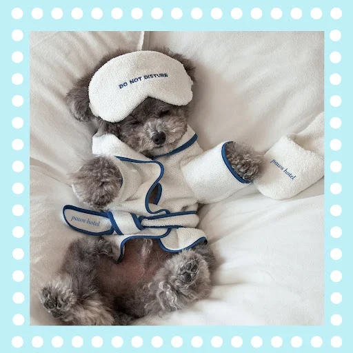 Title 3, Pet Bath Towel Bathrobe Photo Prop Nightgown Pa...