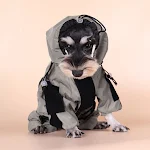 miniatures image - 0