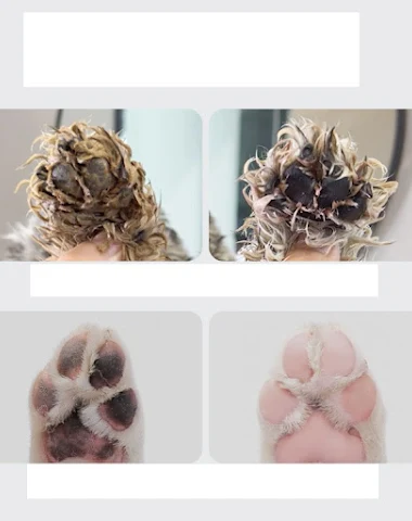 Image product - 3