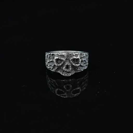 Title 2, Anillo de calavera hip-hop Titanium Steel Niche...