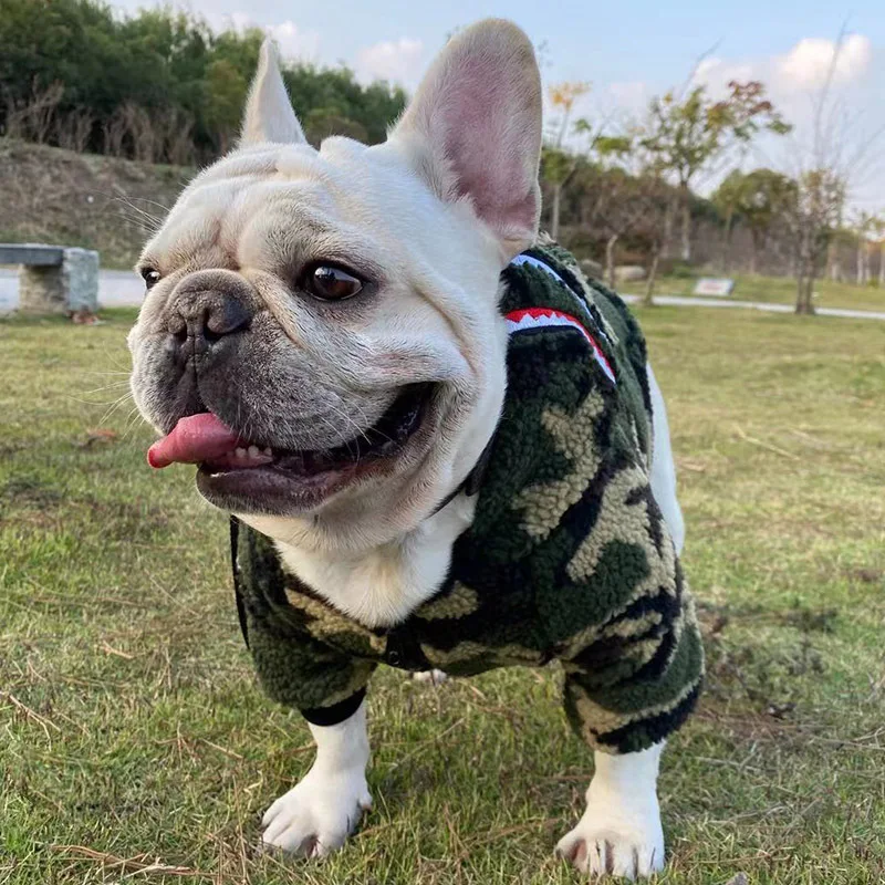 Title 7, Roupas para animais de estimação Schnauzer Tedd...