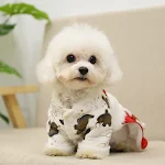 miniatures image - 2