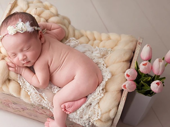 Title 1, Wholesale Newborn Photography Props