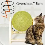 15cm