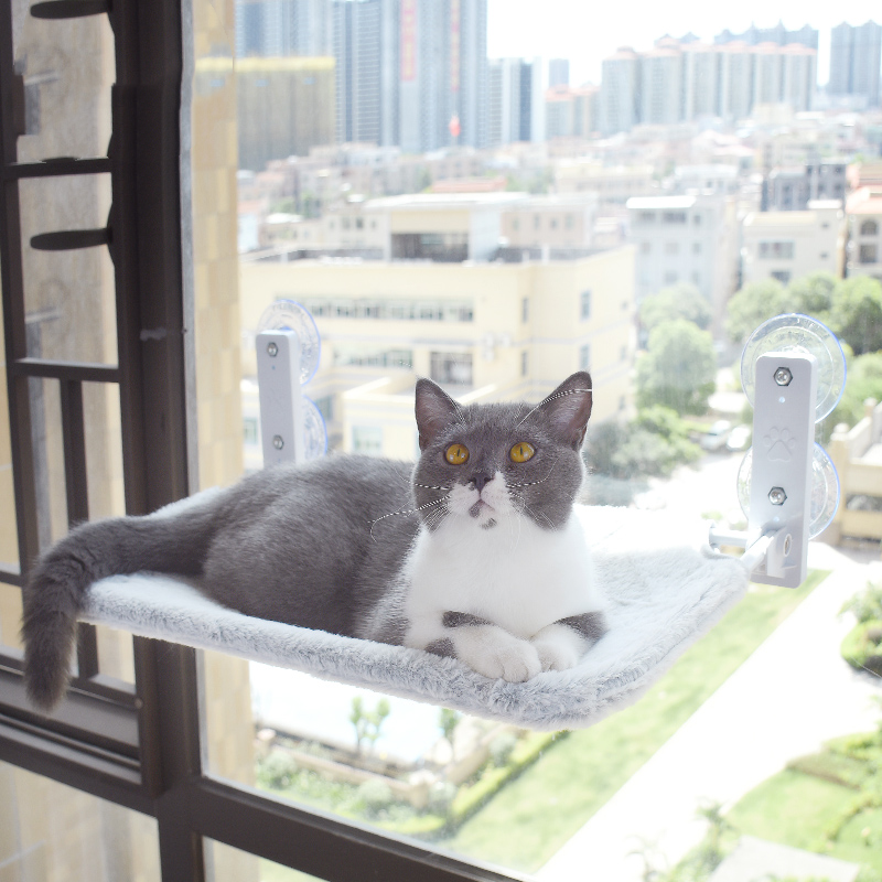 Cat Suction Cup Window Hammock. Give your cat a comfy, sunny spot with this easy-to-install bed. Perfect for relaxing an — photo 9