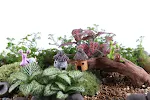 miniatures image - 2