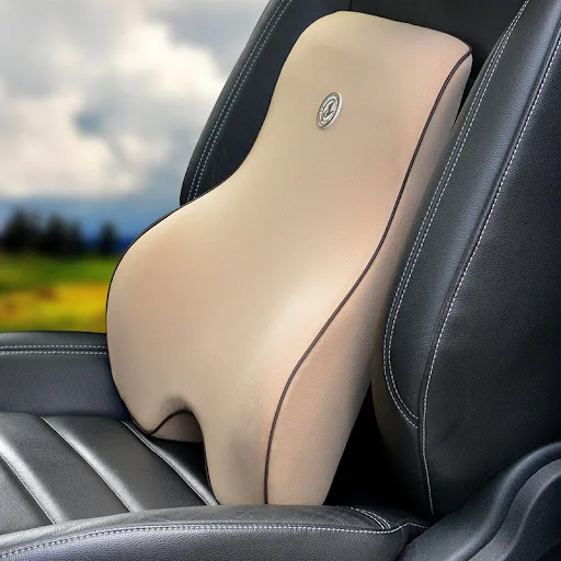 Title 5, Memory foam lumbar support back cushion for pai...