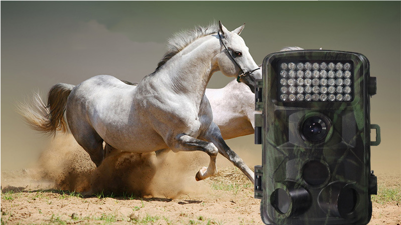 product image - 12