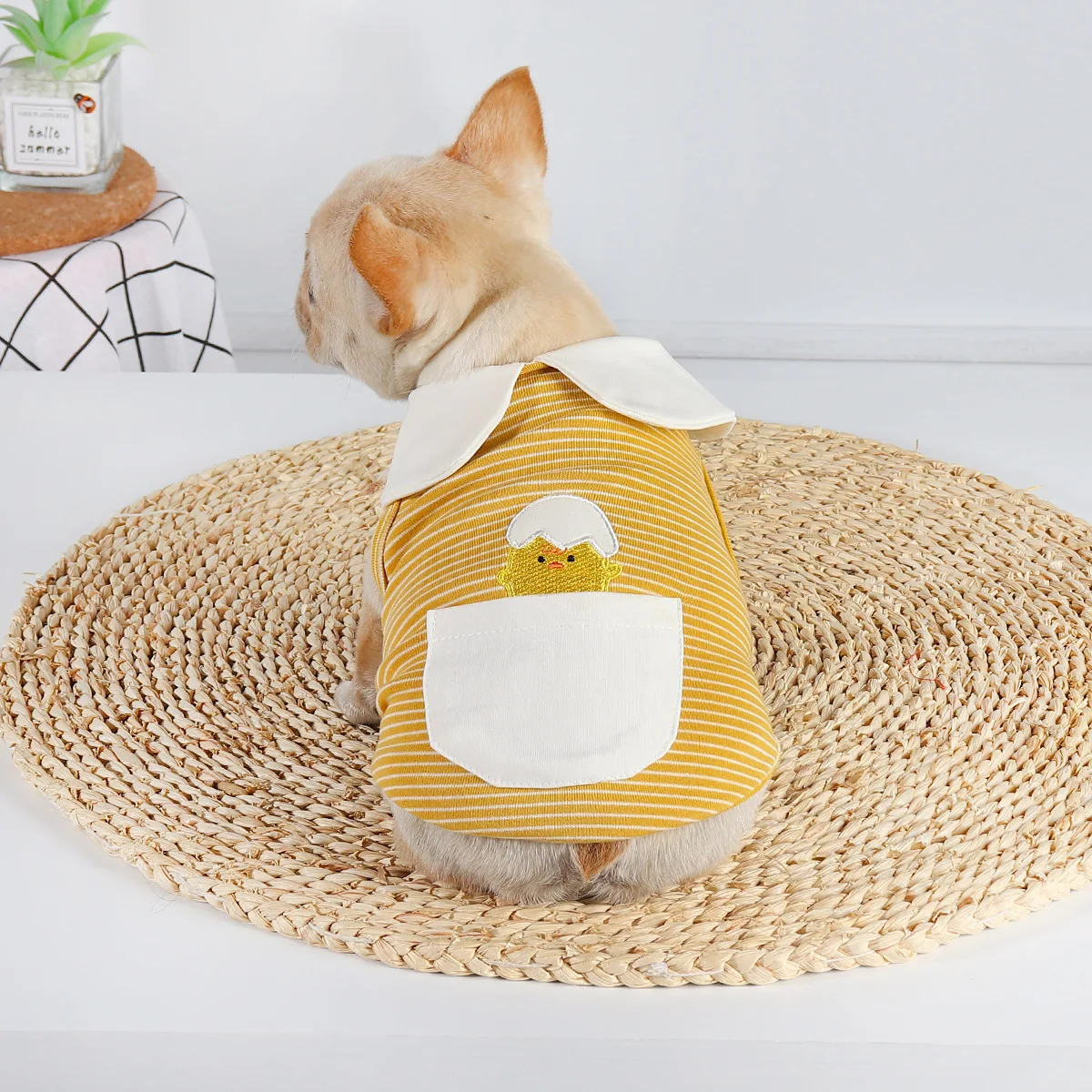 Title 6, Pet dog tied buckle undershirt cute eggshell cl...