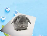 miniatures image - 2