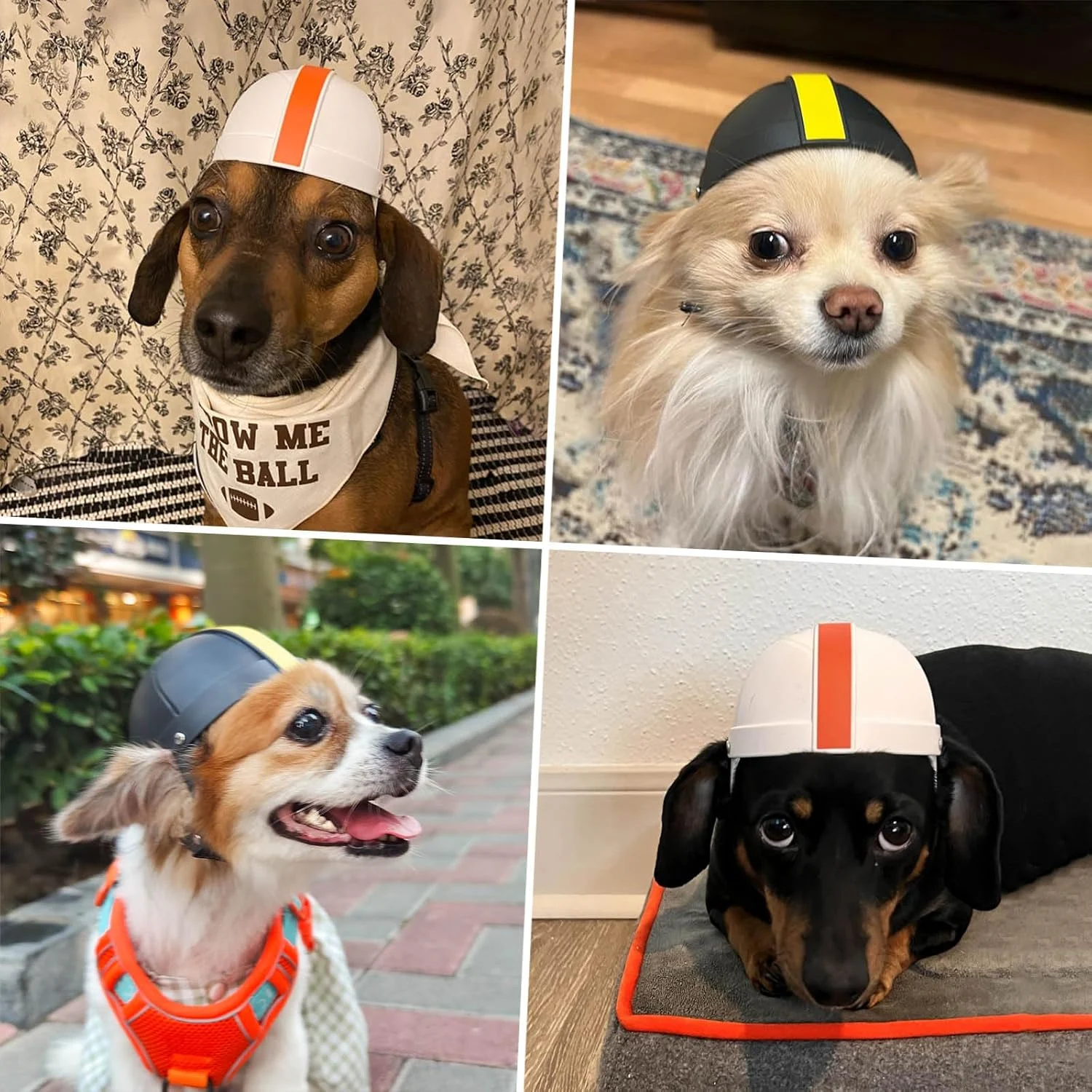 Title 8, Pet Ride Motorcycle Safety Helmet Keep your dog...