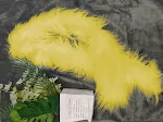 Long Hair Yellow