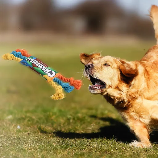 Title 4, Juguete molar para entrenamiento canino contra ...