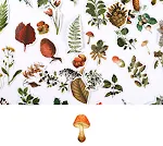 miniatures image - 1
