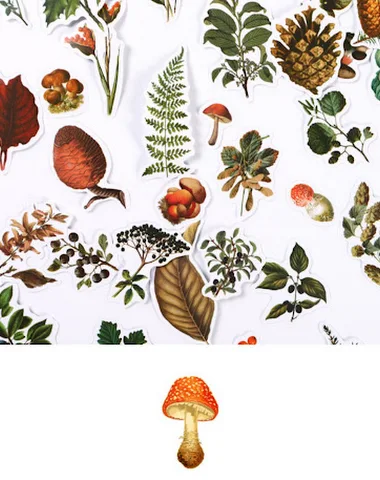 Image product - 1