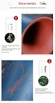 miniatures image - 5