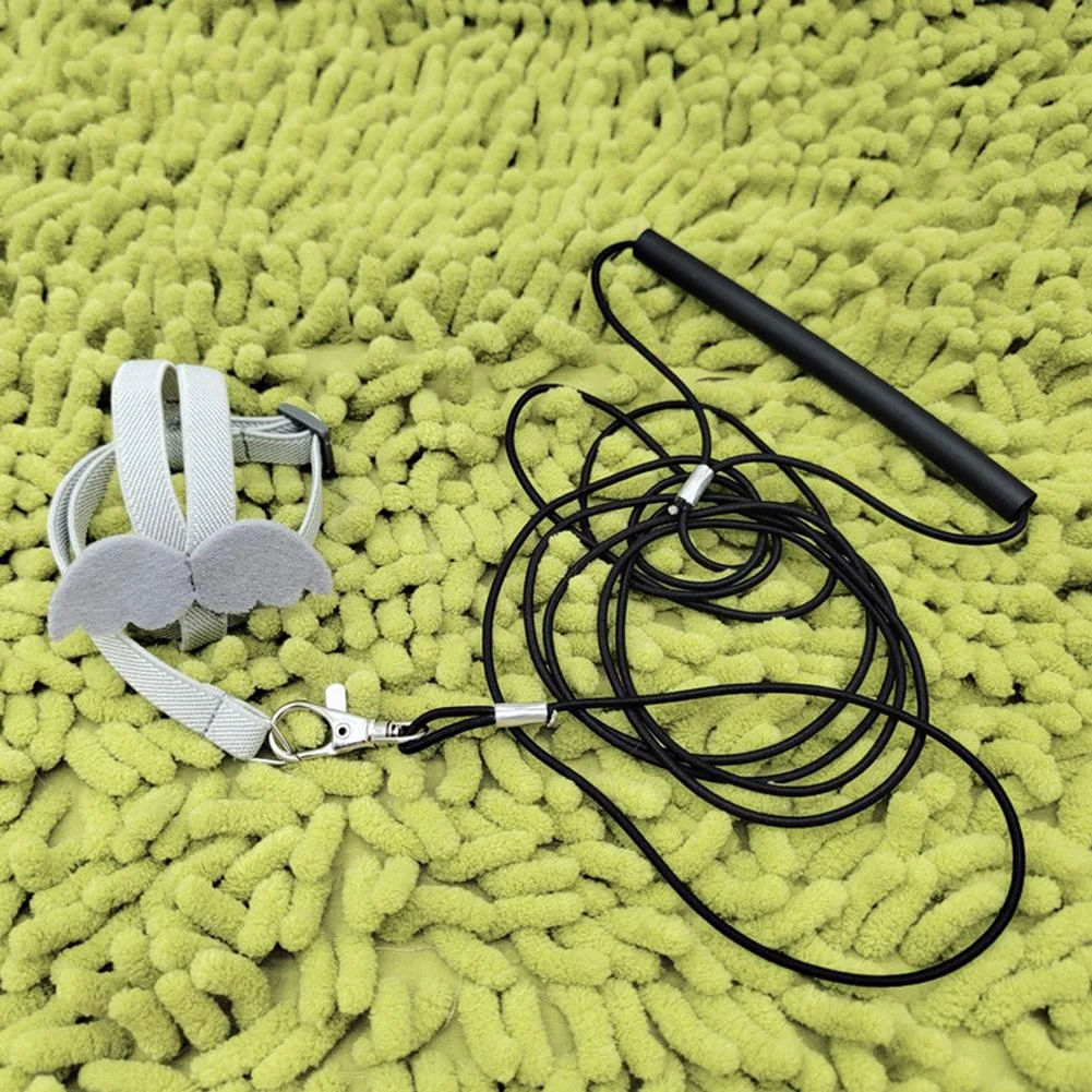 Title 10, Ultra-light Parrot Bird Flying Traction Rope St...