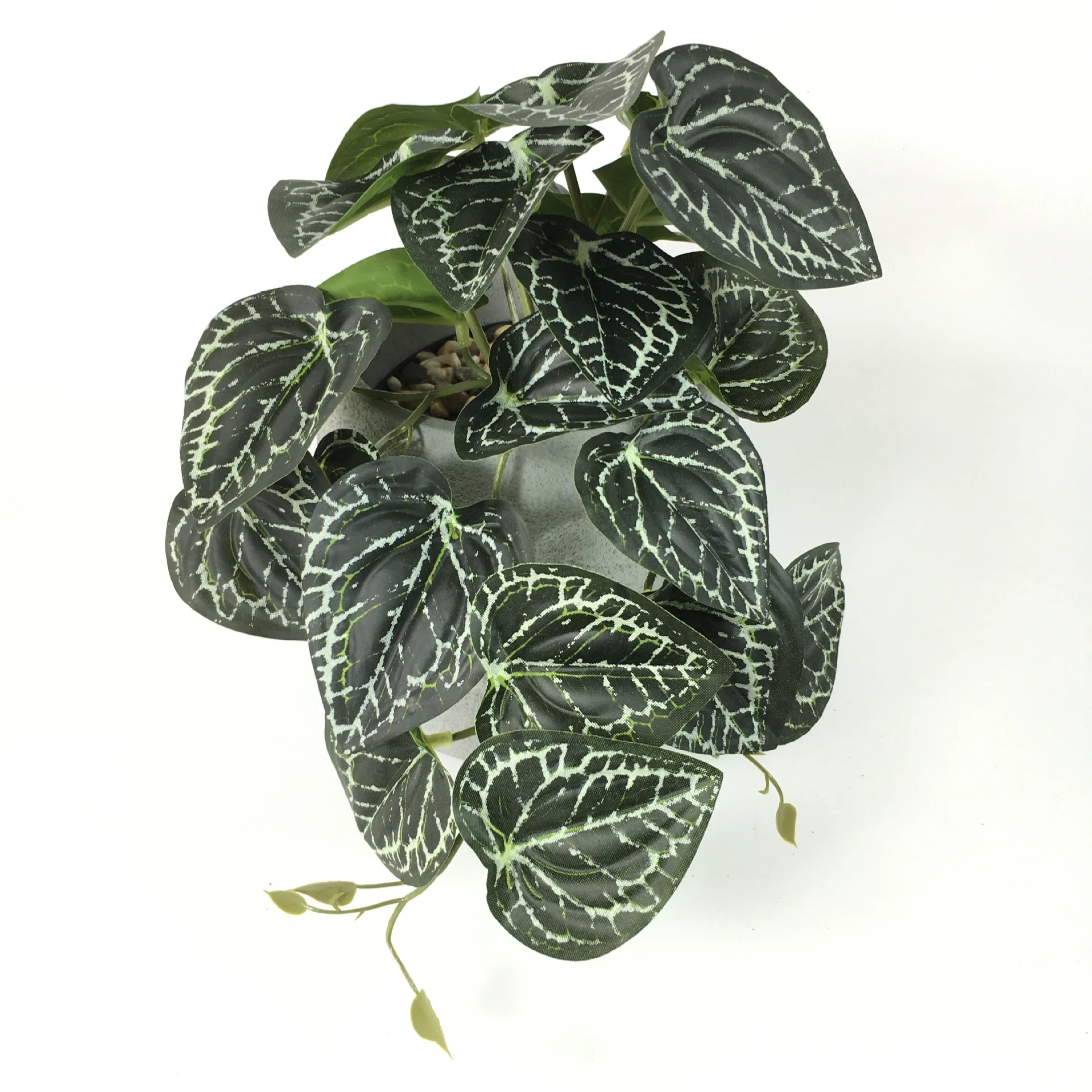 Title 27, Décoration murale Monstera en rotin avec plante...