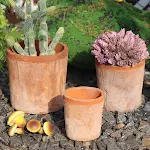 miniatures image - 2