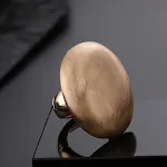 F2024485R 001