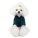 miniatures image - 1