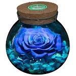 miniatures image - 2