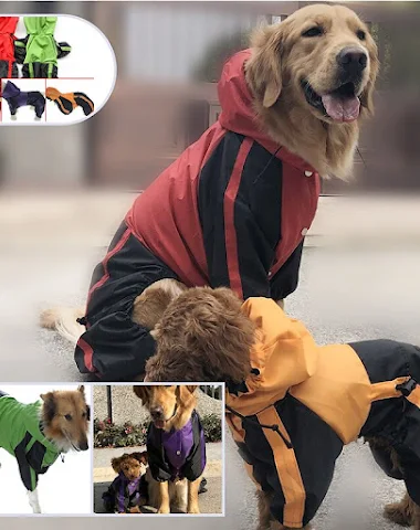 Image product - 0