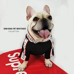 Suéter de primavera para perros Ropa canina fresca y ligera para la temporada cálida. Ideal para proteger del sol y lucir a la moda. — foto 3