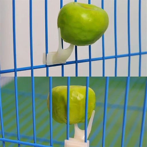 Pet Parrots Birds Feeder Food Holder Support Stainless Steel Spear Stick Fruit Anti-stick Skewers Bird Supplies Cage Acc — photo 3