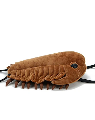 Image product - 1