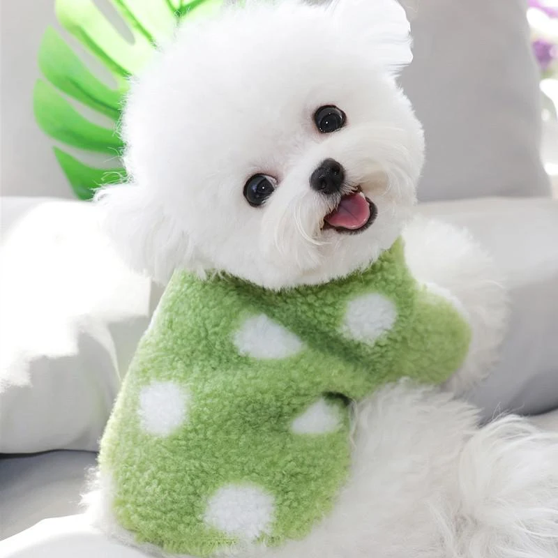 Hunde Kleidung für kleine Rassen wie Bichon, Pomeranian, Schnauzer, Yorkshire, Poodle, Teddy. Süße Outfits für Ihren Liebling. — foto 5
