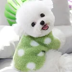 Hunde Kleidung für kleine Rassen wie Bichon, Pomeranian, Schnauzer, Yorkshire, Poodle, Teddy. Süße Outfits für Ihren Liebling. — foto 5