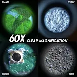 miniatures image - 1