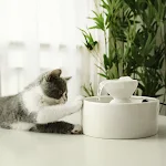 miniatures image - 2