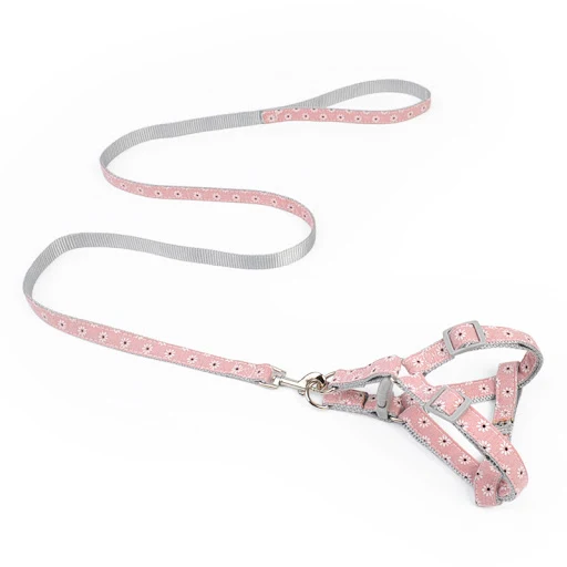 Title 6, Walking the dog with traction rope on chest and...