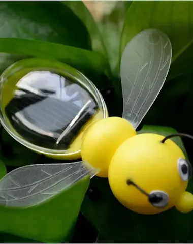 Image product - 3