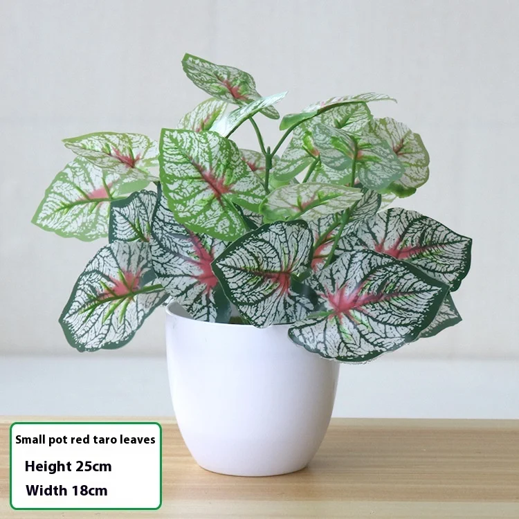 product image - 32