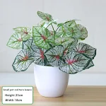 miniatures image - 32