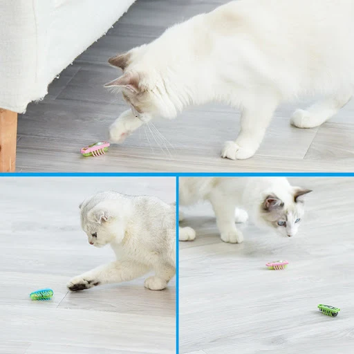 Pet Interactive Electric Bug Cat Escape Obstacle Automatic Flip Toy Battery Operated Vibration Pet Beetle Playing Toy — photo 2