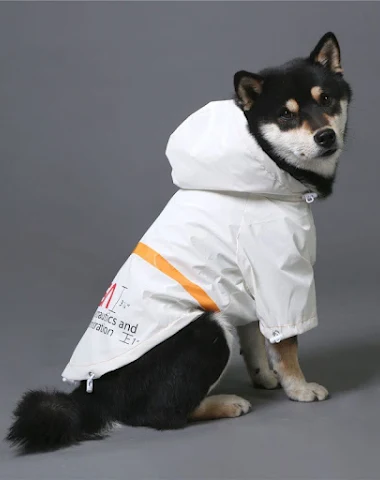 Image product - 2