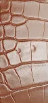 image - 4
